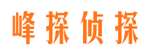 汤阴市私家侦探